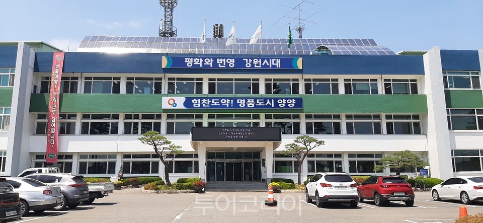 양양플랫폼 이미지