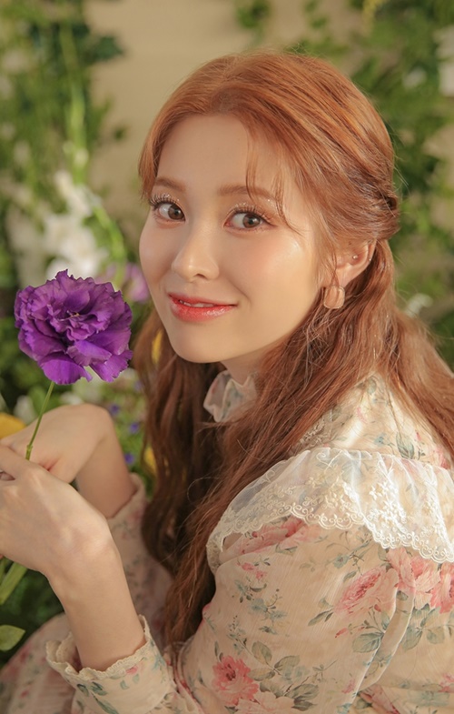 다이아컴퍼니 이미지