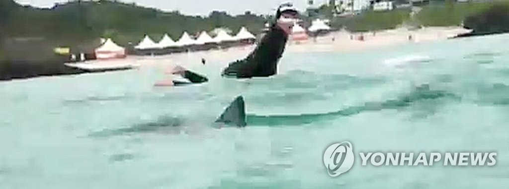 포구어가 이미지