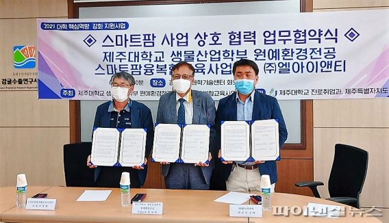 엘이엔티 이미지
