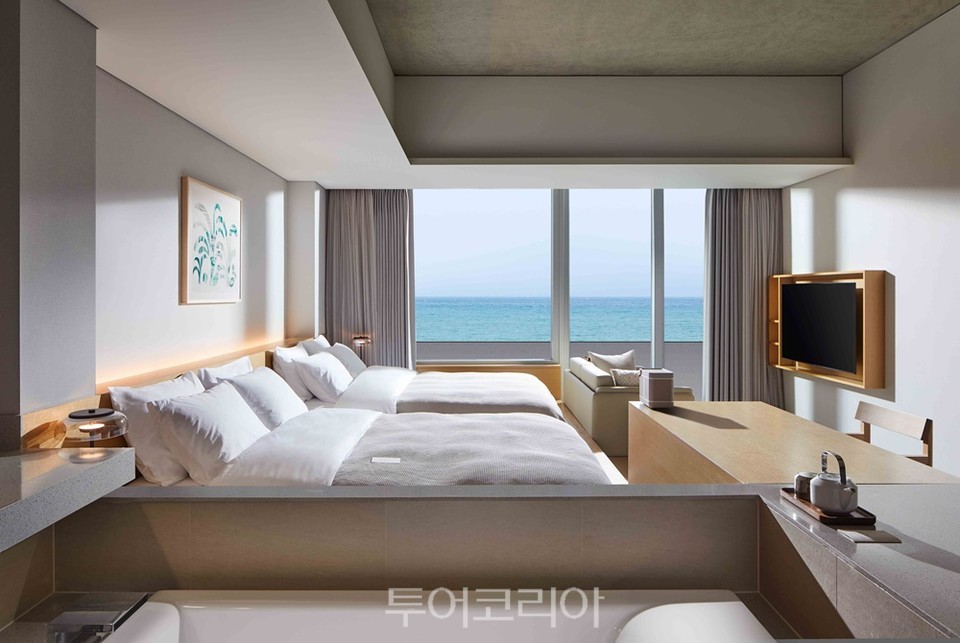 브리드 이미지
