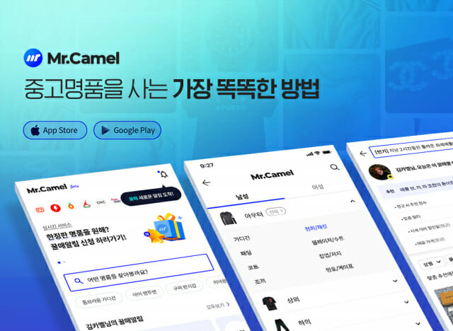 카멜 이미지