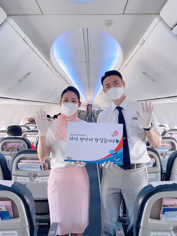 플라이 이미지