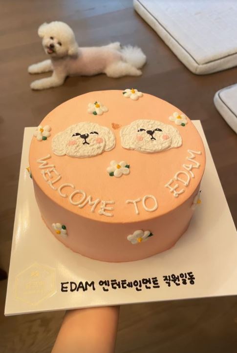 오예엔터테인먼트 이미지