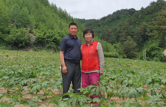 진부농업협동조합 이미지