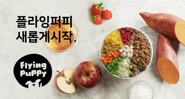 주식회사 마이페어 이미지