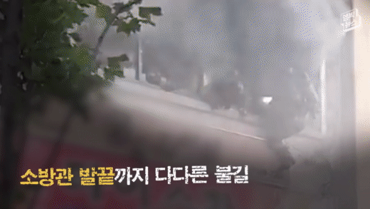 '엠빅뉴스' 유튜브 캡처