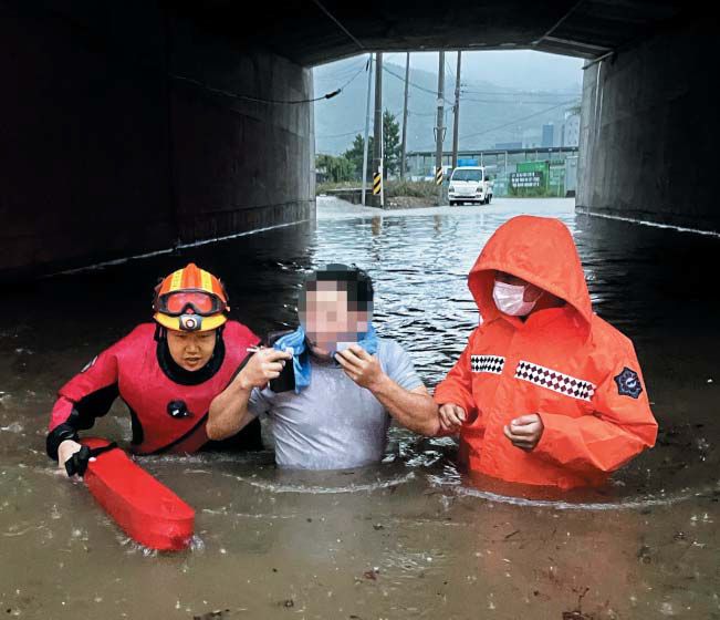 야행성 이미지