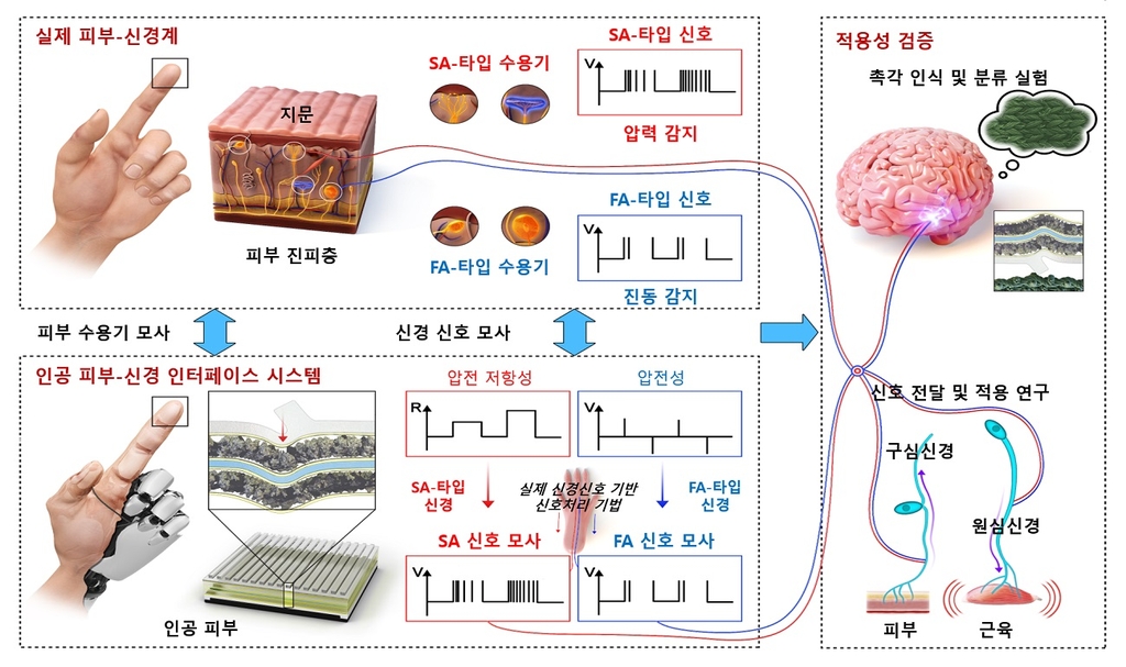 본시스템 이미지