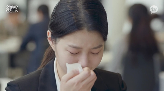 대현유화 이미지