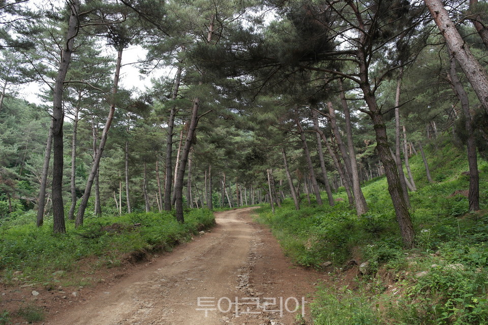 상리 이미지