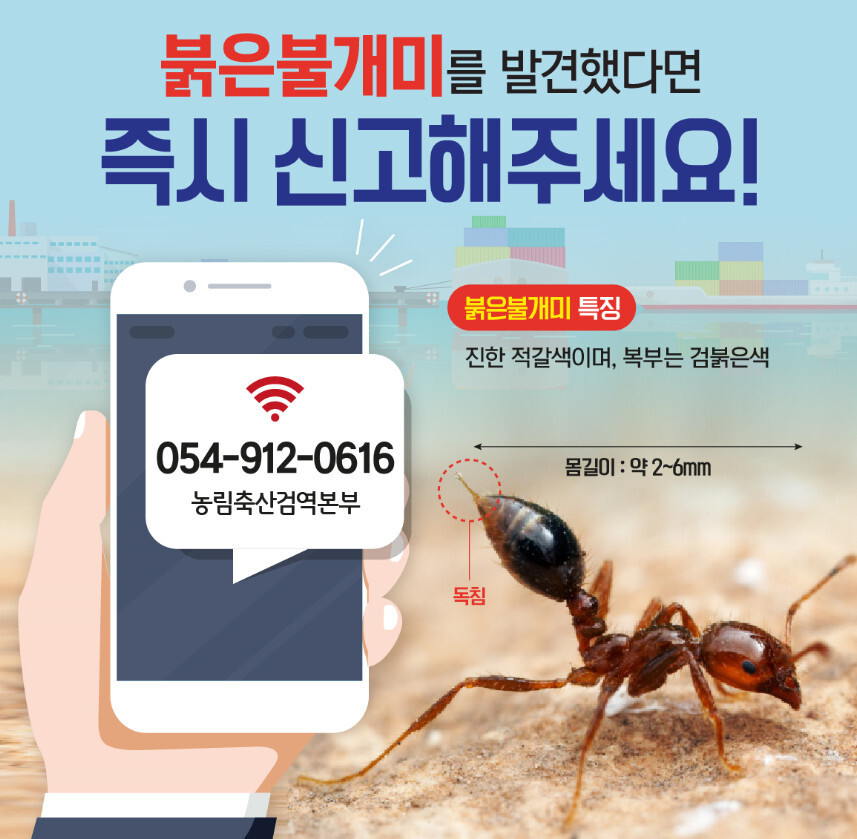광양축산 이미지