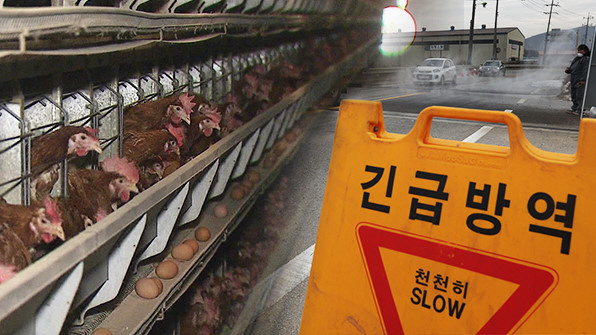 오리종합관리 이미지