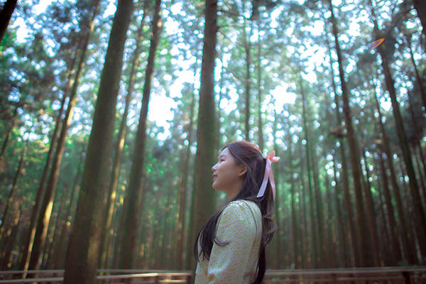 하이유진 이미지