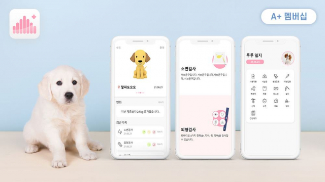 파도컨설팅 이미지
