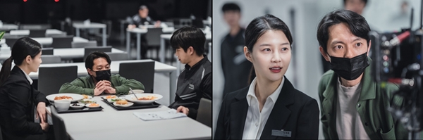 대현유화 이미지