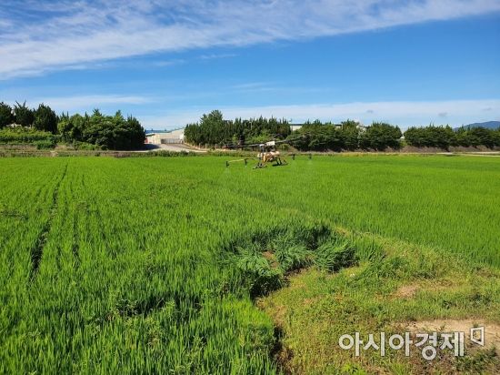 호남드론방제 이미지