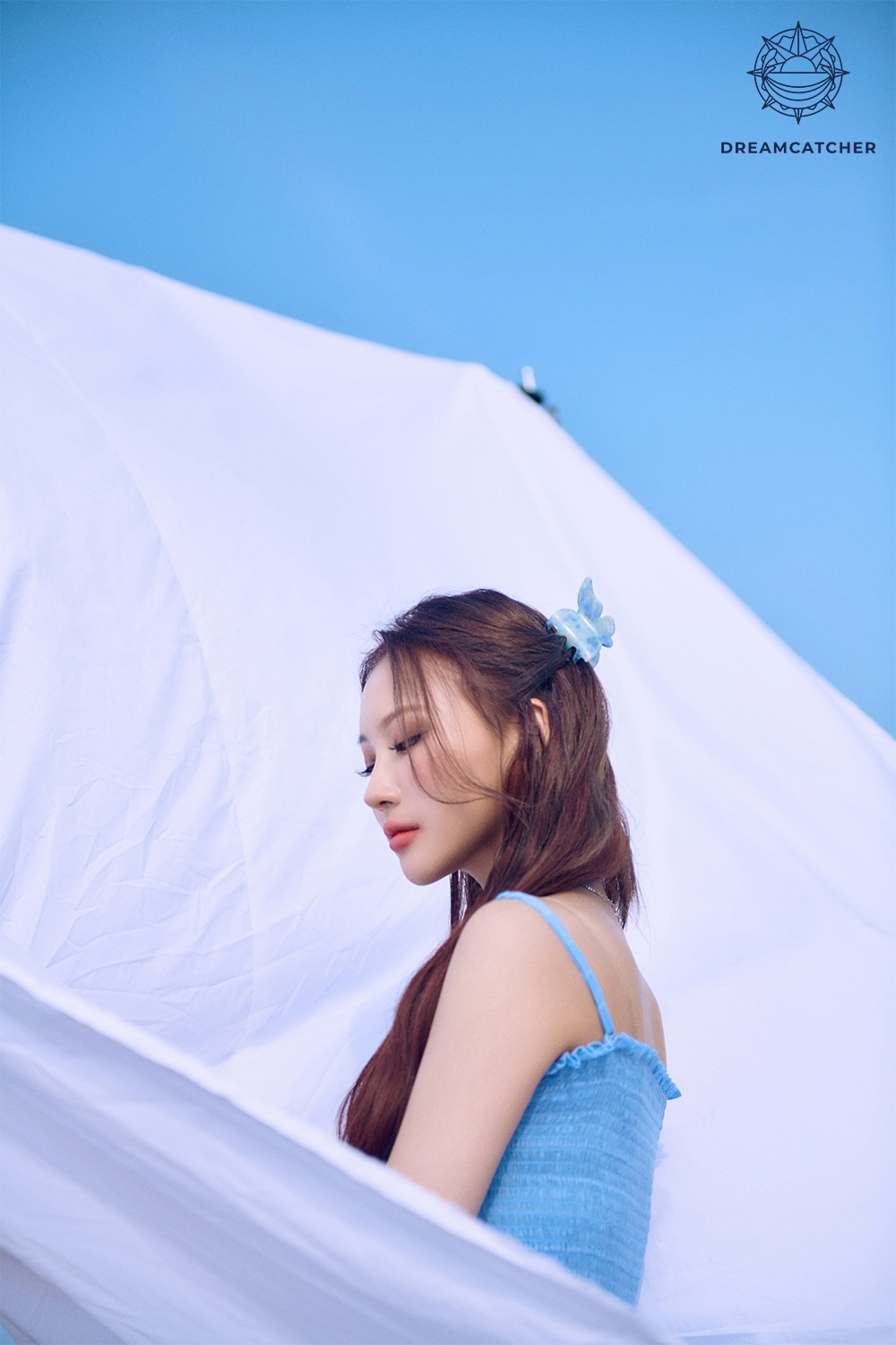 도도한 컴퍼니 이미지