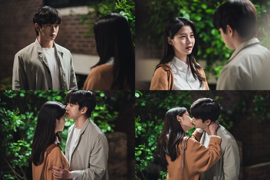 대현유화 이미지