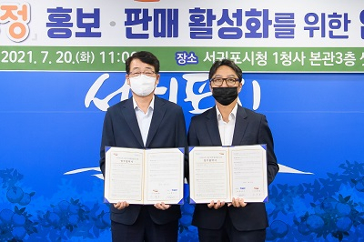 카모아 이미지