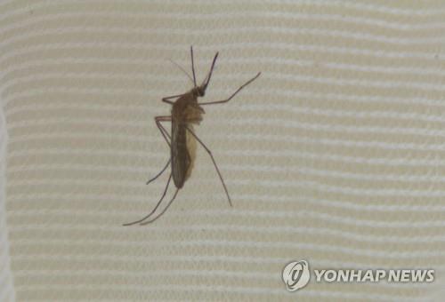 빨간집 이미지