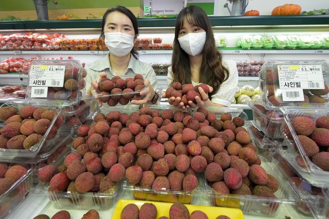 리치유통 이미지