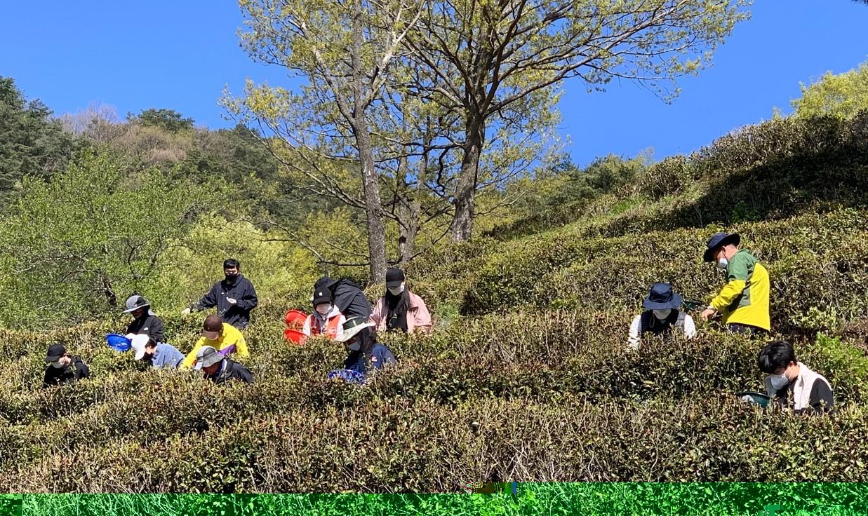 하동 이미지