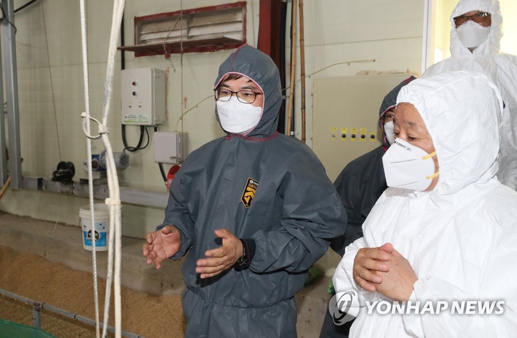 진흥양계농장 이미지