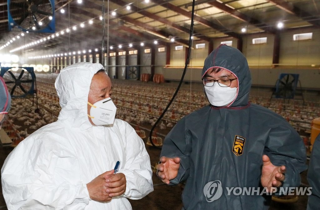 진흥양계농장 이미지
