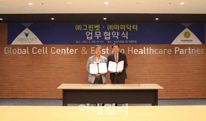 마미유통 이미지