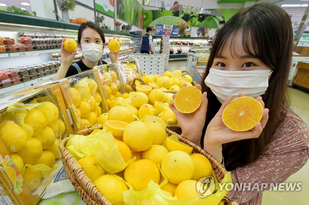 황금향 이미지