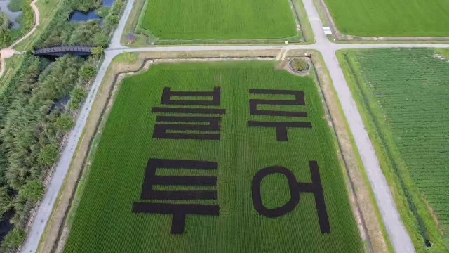 블루투어 이미지