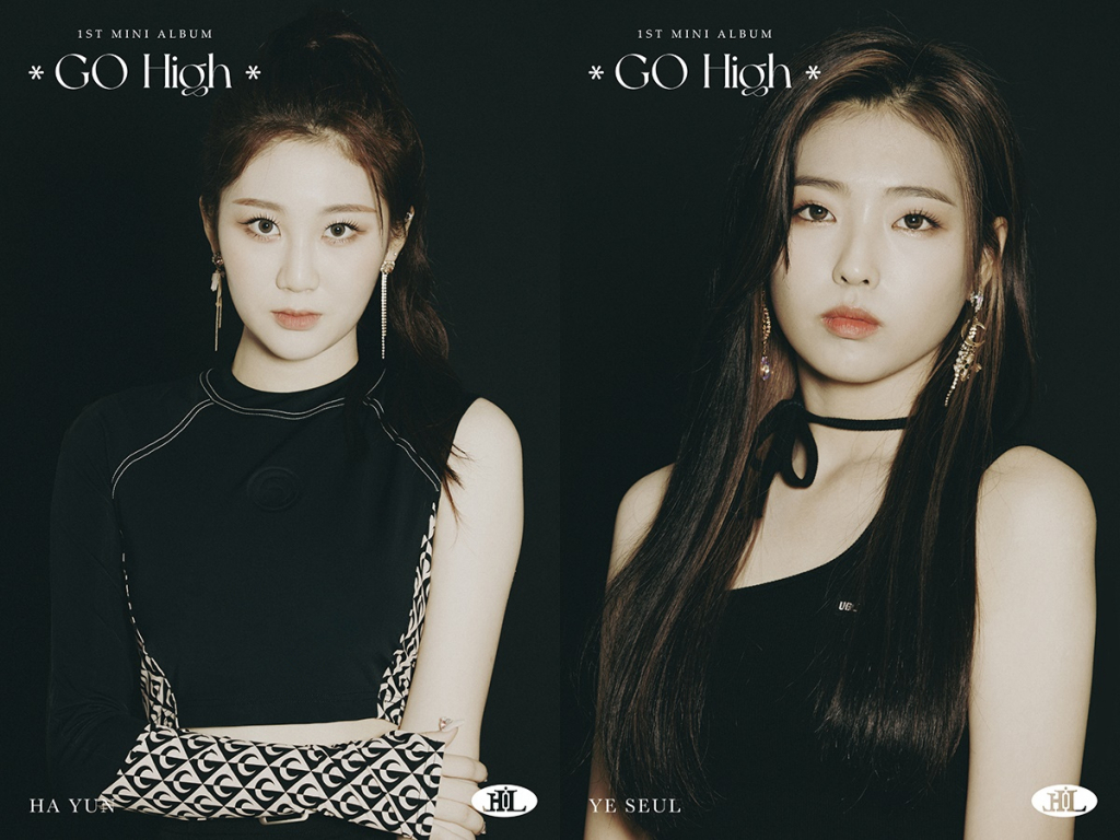 하이엘 이미지