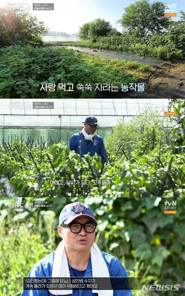 슈퍼푸드 이미지