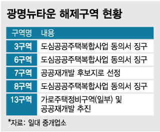 대신도시개발 이미지