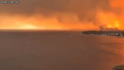 화염에 휩싸인 그리스 에비아섬으로 소방 헬기 한대가 날아가고 있다. [트위터 캡처]