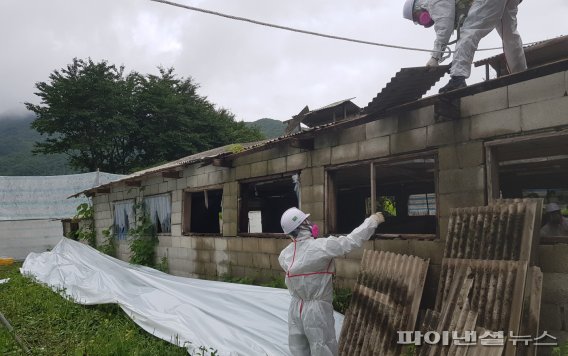 남양주 친환경 이미지