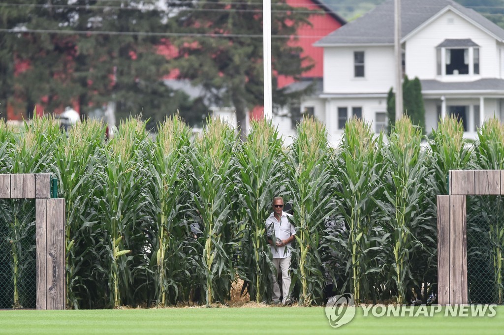 옥수수밭 이미지