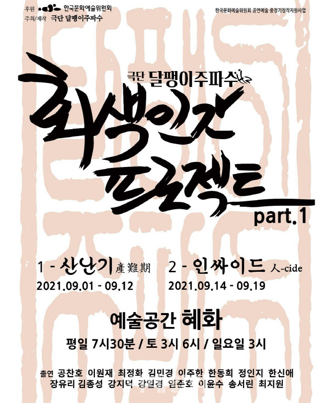 공간주파수 이미지