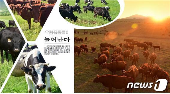 평강축산 이미지