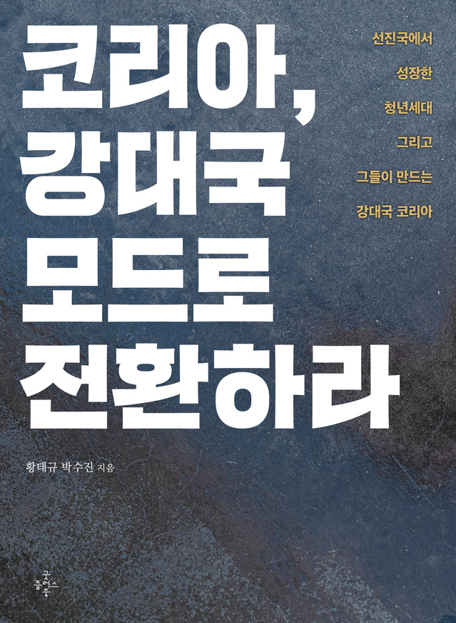 이다모드 이미지