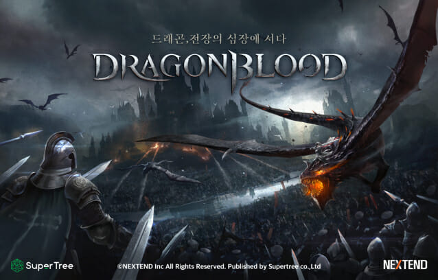 드래곤마켓 이미지
