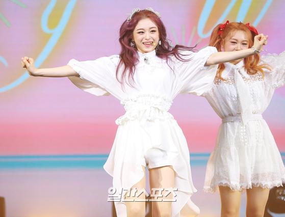 파시 이미지
