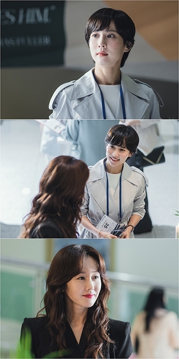 하이사이 이미지