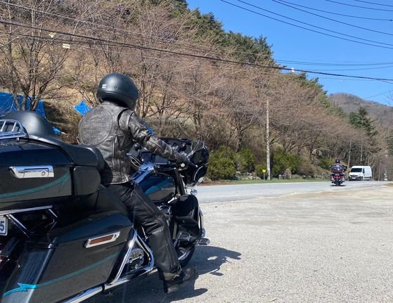 금봉노래 이미지