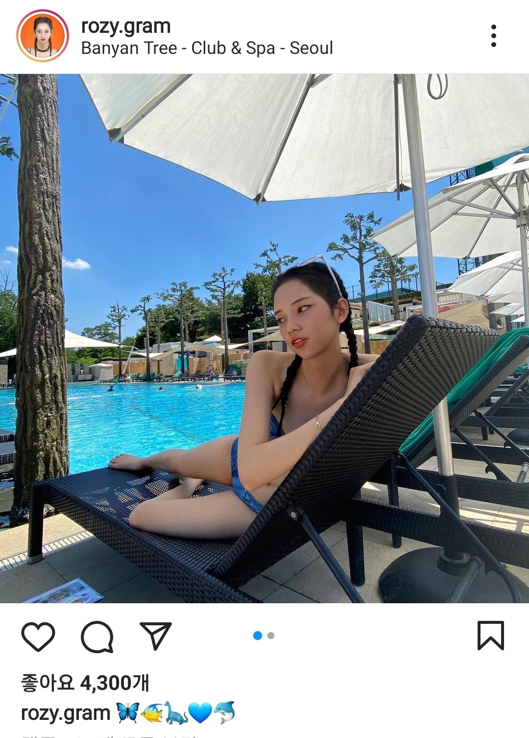로지트리 이미지