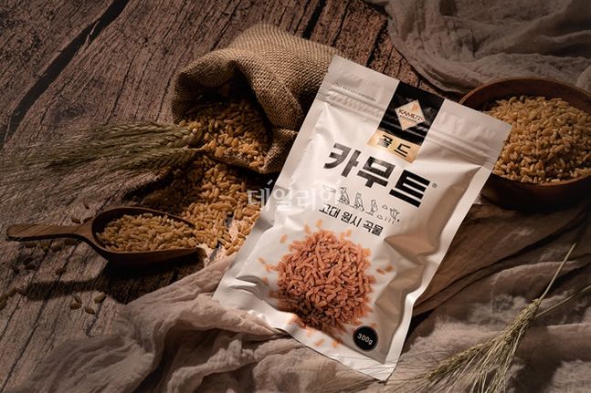 사인플러스 이미지