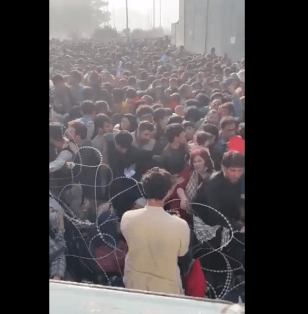 바락 라비드 왈라뉴스 특파원이 21일(현지시간) 한 국제단체 관계자의 영상이라며 올린 카불 하미드 카르자이 국제공항에 인파가 몰려있다. [트위터 갈무리]