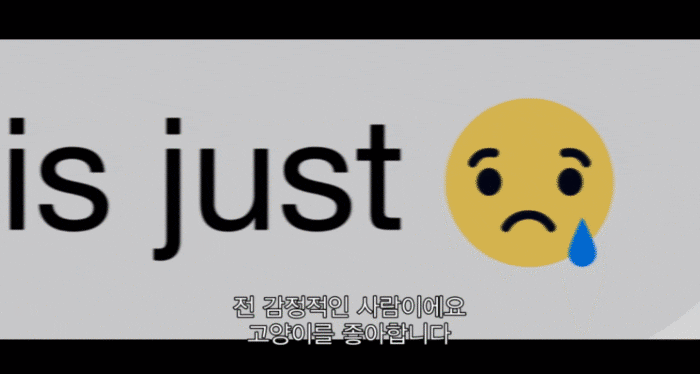 넷플릭스 '고양이는 건드리지 마라'