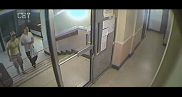 넷플릭스 '고양이는 건드리지 마라'